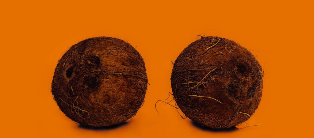 Your Vagina Should Smell Like Coconuts and Other Myths Image